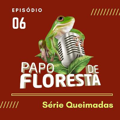 De onde vem o Fogo da Amazônia