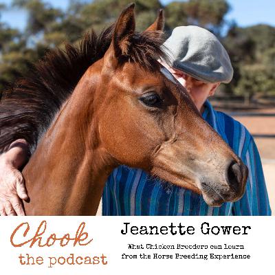 Stock Horse Breeder Jeanette Gower on What Chicken Breeders can learn from the Horse Breeding Experience