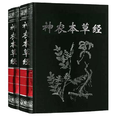 365 下部 彼子