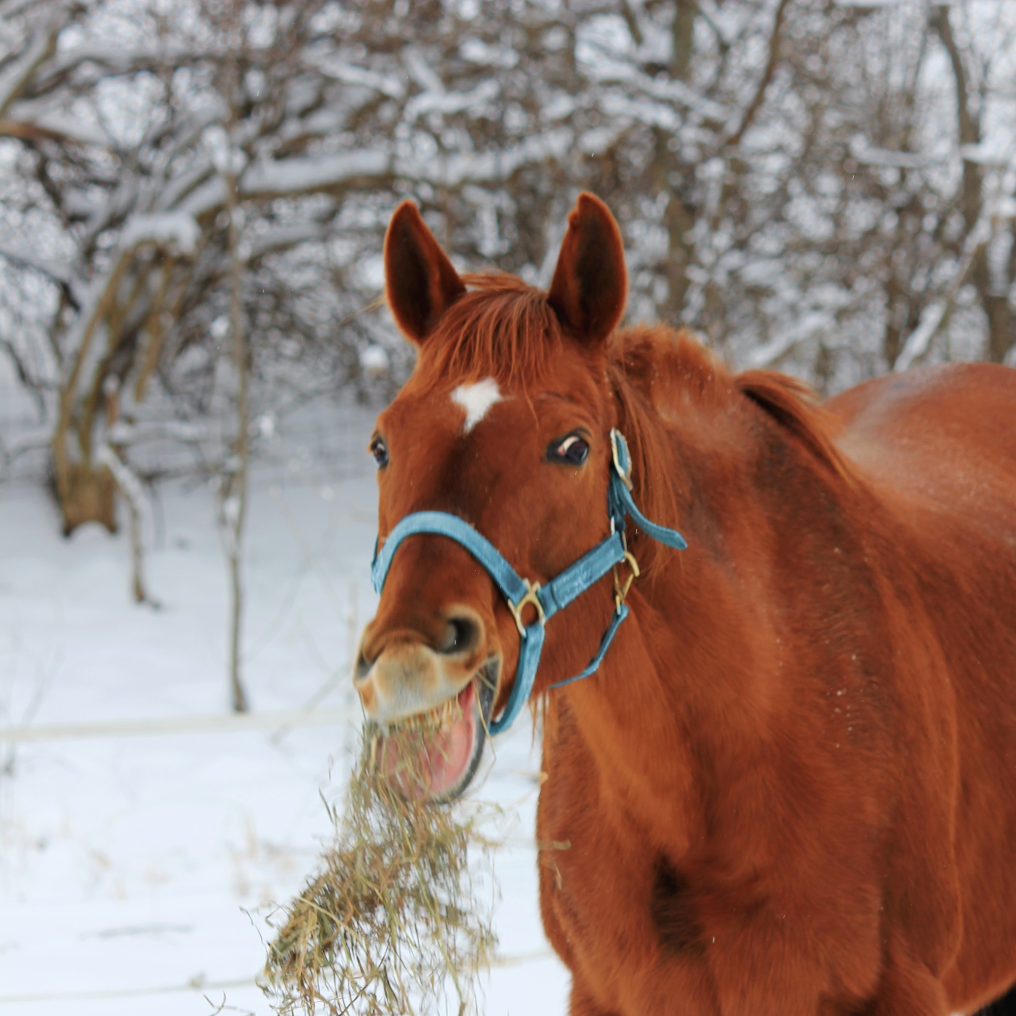Légy KreatívSpirit, fejlődj a Szeretet Hullámhosszán