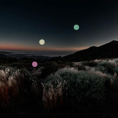 Цикады в тихом сумраке Тихого океана | Ночная атмосфера