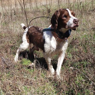 2022 Georgia Region NSTRA Championships.