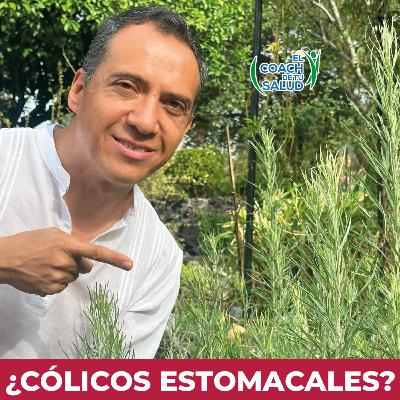 ¿Cólicos estomacales? Un té de Estafiate puede ayudarte