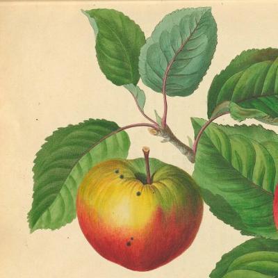 Eps. 1 : Perjalanan.