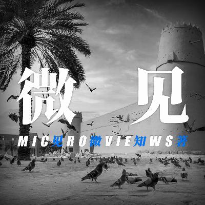 从部落到聊天室，一群中国人如何在中东建造线上乌托邦？| 访谈米可世界Ray