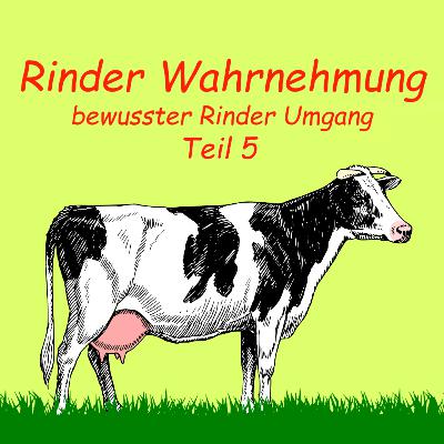 Bewusster Rinder Umgang | Rinder Wahrnehmung | Teil 5 | Audio | Kuhles zum Kauen Bewusster Rinder Umgang | Rinder Wahrnehmung | Teil 5 | Audio | Kuhles zum Kauen