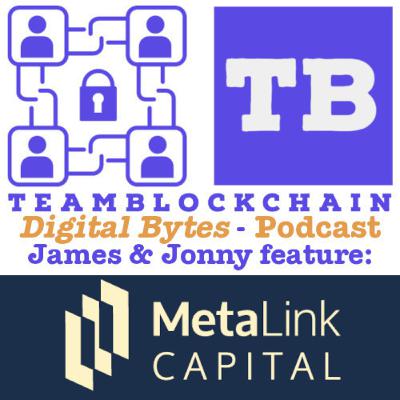 Metalink Capital on Digital Bytes - Managing digital assets: opportunities and challenges Metalink Capital on Digital Bytes - Managing digital assets: opportunities and challenges