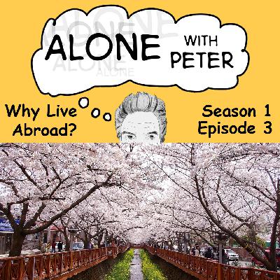3 Why Live Abroad and Why Korea?