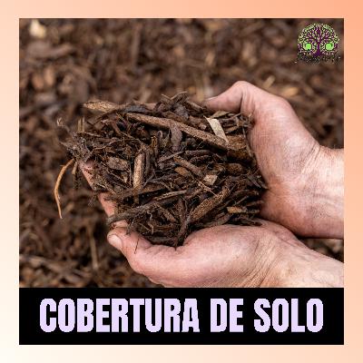 Ep.17 - "Cobertura de Solo"