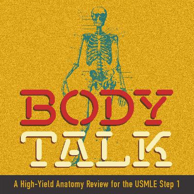 Episode 8: GI