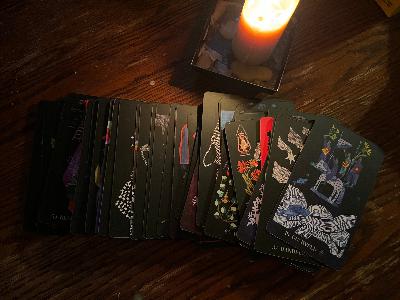 It's in the cards