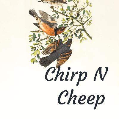 Chirpy Affirmations- Episode 4 Chirpy Affirmations- Episode 4