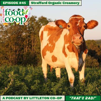 Episode XLV: Strafford Organic Creamery Episode XLV: Strafford Organic Creamery