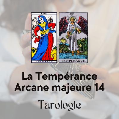 La Tempérance: Mêler douceur et patience