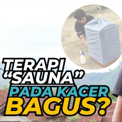 Tritmen SAUNA untuk Kacer, Apa Manfaatnya dan Bagaimana?