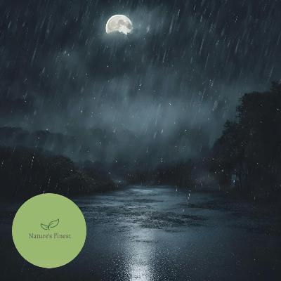 Night Rainfall for Sleep | Natural Sounds 12 Hours Night Rainfall for Sleep | Natural Sounds 12 Hours