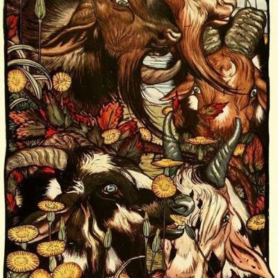 The She Goats and their Beard The She Goats and their Beard