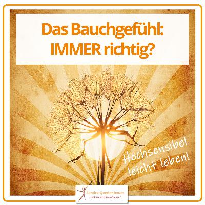 🦋 Liegt dein Bauchgefühl immer richtig? 🦋 Liegt dein Bauchgefühl immer richtig?