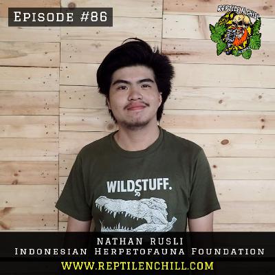 Nathan Rusli from Indonesian Herpetofauna Foundation - 86 Reptile n Chill Nathan Rusli from Indonesian Herpetofauna Foundation - 86 Reptile n Chill