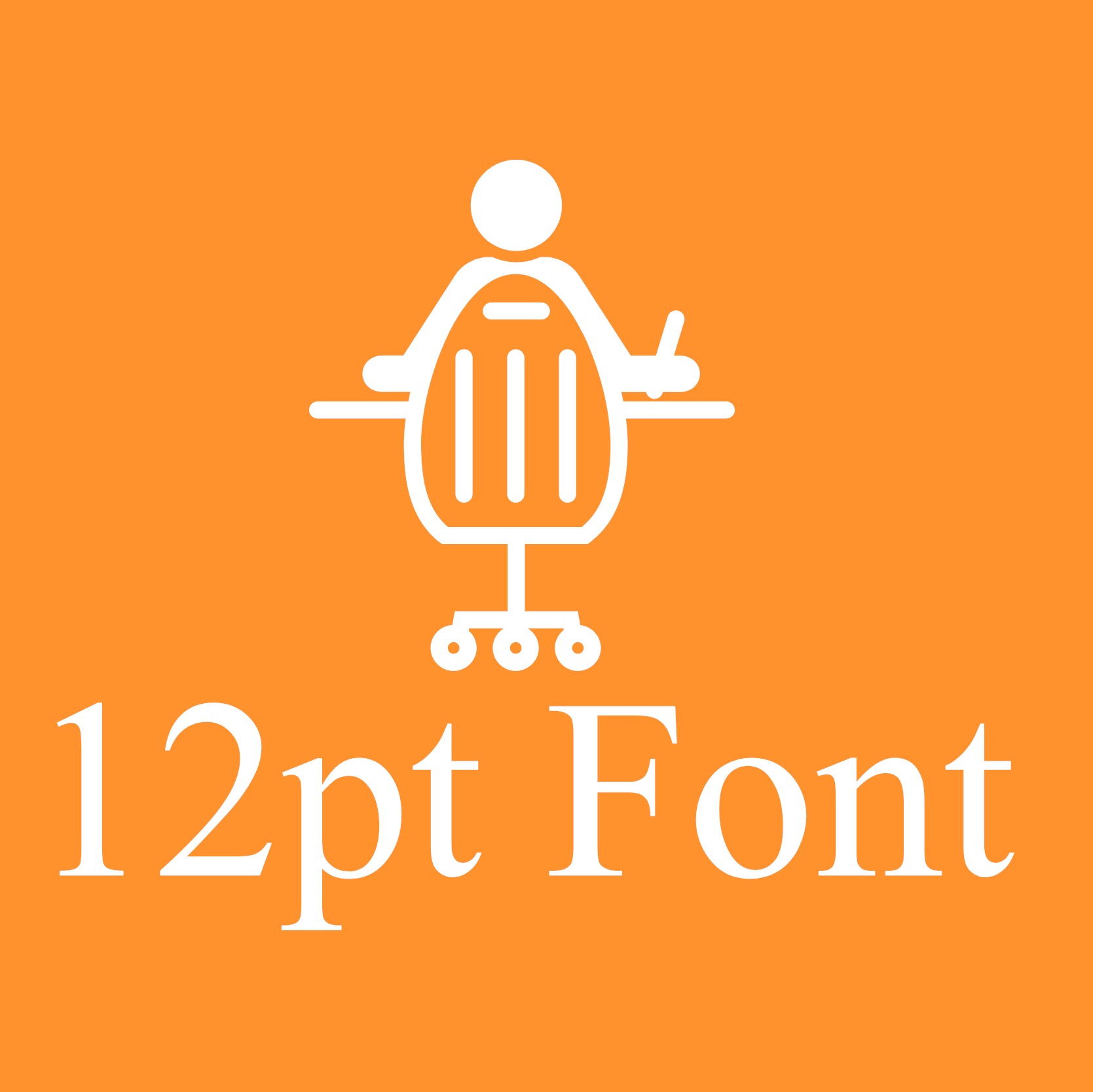 12pt Font