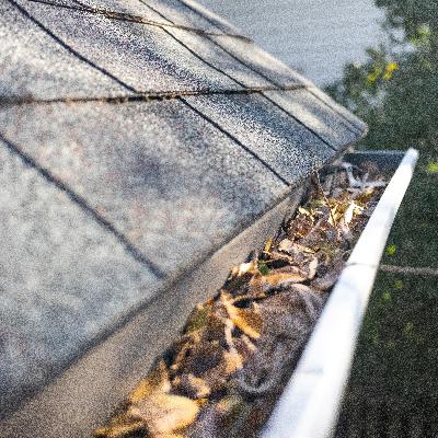 Problems With Some Gutter Guards, Water Heater Help, How Weather Changes a Roof Problems With Some Gutter Guards, Water Heater Help, How Weather Changes a Roof