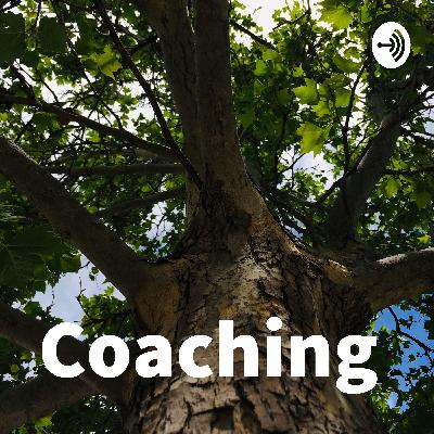 Mi experiencia en el Diplomado de Coaching