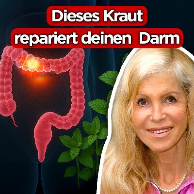 #456 - Nimm dieses Kraut & dein Darm repariert sich wie von selbst | Barbara Simonsohn #456 - Nimm dieses Kraut & dein Darm repariert sich wie von selbst | Barbara Simonsohn