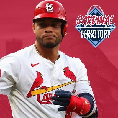 Cardinals early season trends: Concerns over Willson Contreras? What about the pitching? Cardinals early season trends: Concerns over Willson Contreras? What about the pitching?