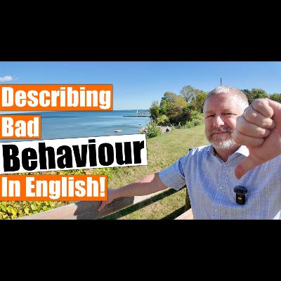 Describing Bad Behaviour in English