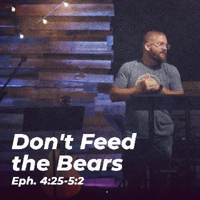 Don't Feed the Bears