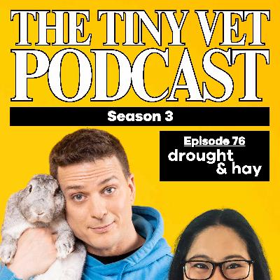 76: Droughts & Hay