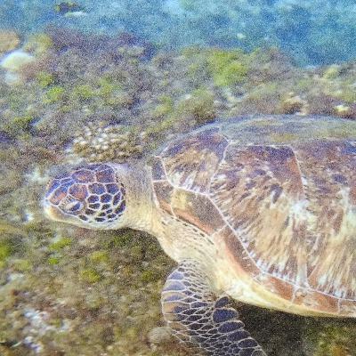 #9 妄想台湾旅行