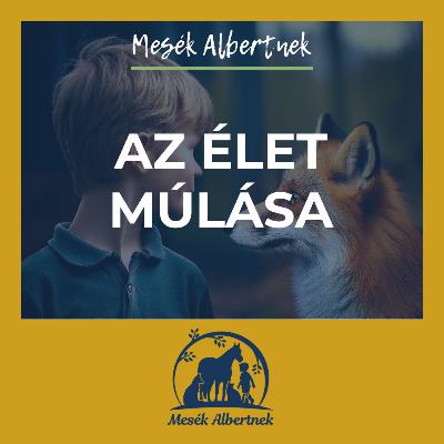 Az élet múlása Az élet múlása
