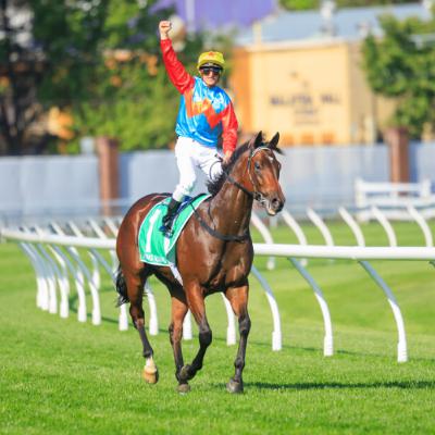Punter's Preamble - 2026 Stewards' Cup Weekend