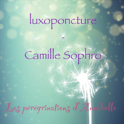 Approches alternatives #18 - Luxoponcture - Camille Sophro
