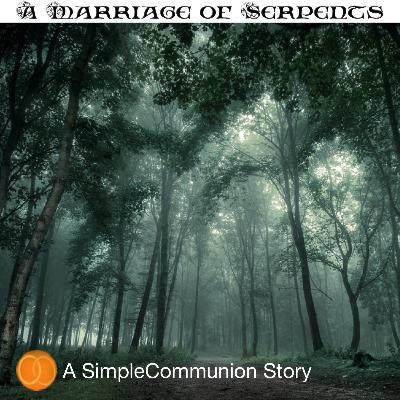 Episode 14 - Fighting in the Mist Episode 14 - Fighting in the Mist