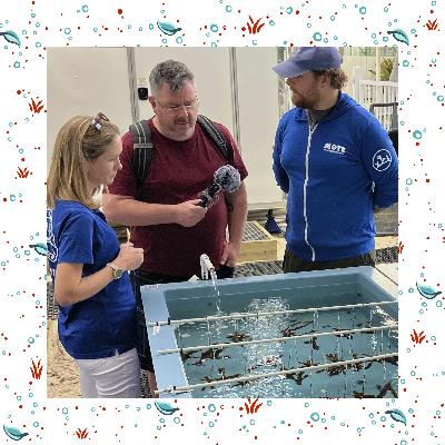 How to rebuild a coral reef, with Erin Muir and Lou Schekler How to rebuild a coral reef, with Erin Muir and Lou Schekler