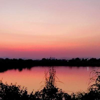 Life in a fishbowl part 1-2