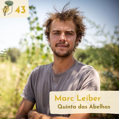 #43 The story, philosophy and principles of Syntropic Farming with Marc Leiber