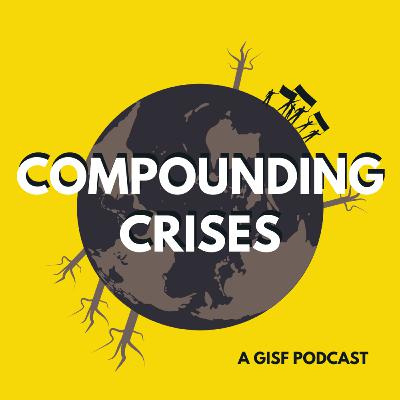 Compounding Crises: Partnerships in Crisis Compounding Crises: Partnerships in Crisis