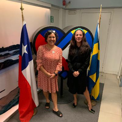 Reflektioner och samtal efter möte på svenska ambassaden i Chile