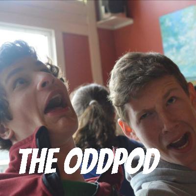 Ep. 10 - Cows, animal thoughts, fortune cookies, and bunched socks.
