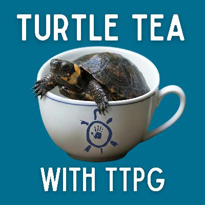 Bog Turtles: Unlocking the Secrets of Captive Breeding Success Bog Turtles: Unlocking the Secrets of Captive Breeding Success