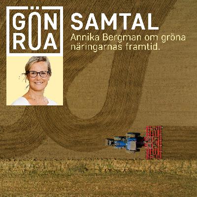 Ordförande Annika Bergman om de gröna näringarnas framtid
