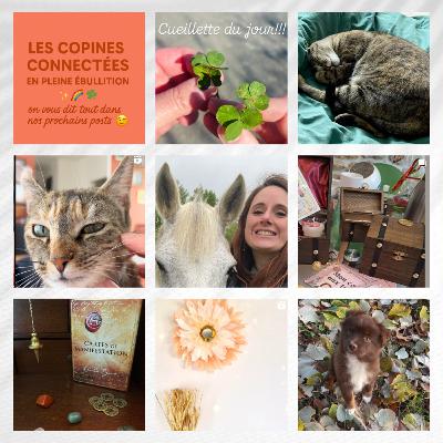 Nos amis les bêtes: communication animale avec Bénédicte Nos amis les bêtes: communication animale avec Bénédicte