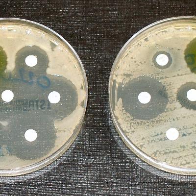 DrMcPharma ep. 29: Antibiotics: Golden Age to Resistance Crisis and Future Solutions