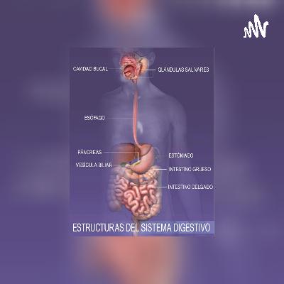 [APARATO DIGESTIVO]