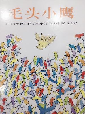 《毛头小鹰》 《毛头小鹰》