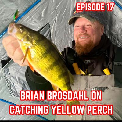 Brian Brosdahl - How to Catch Yellow Perch