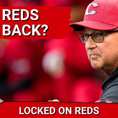 RESURGENCE: Sal Stewart and Good Starting Pitching LEAD Cincinnati Reds to SERIES WIN vs Phillies